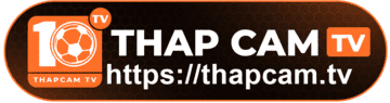bao phap luat